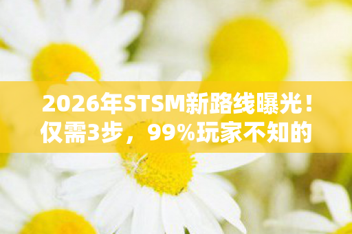 2026年STSM新路线曝光!仅需3步,99%玩家不知的隐藏入口! 2026年STSM新路线曝光!仅需3步,99%玩家不知的隐藏入口!