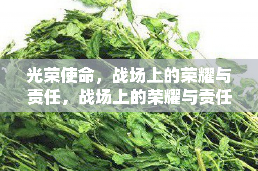 光荣使命,战场上的荣耀与责任,战场上的荣耀与责任,光荣使命 光荣使命,战场上的荣耀与责任,战场上的荣耀与责任,光荣使命