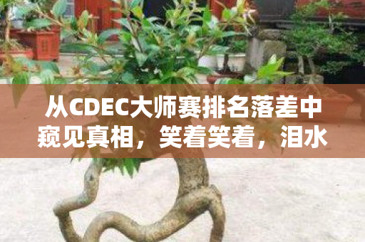 从CDEC大师赛排名落差中窥见真相,笑着笑着,泪水却悄然滑落 从CDEC大师赛排名落差中窥见真相,笑着笑着,泪水却悄然滑落