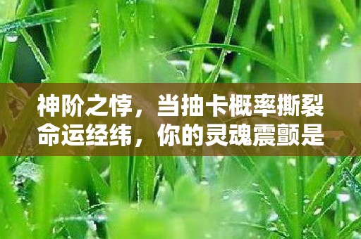 神阶之悖,当抽卡概率撕裂命运经纬,你的灵魂震颤是自由还是囚笼? 神阶之悖,当抽卡概率撕裂命运经纬,你的灵魂震颤是自由还是囚笼?