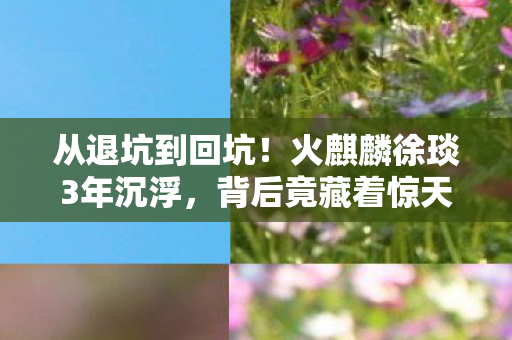 从退坑到回坑!火麒麟徐琰3年沉浮,背后竟藏着惊天秘密? 从退坑到回坑!火麒麟徐琰3年沉浮,背后竟藏着惊天秘密?