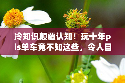 冷知识颠覆认知!玩十年pis单车竟不知这些,令人目瞪口呆! 冷知识颠覆认知!玩十年pis单车竟不知这些,令人目瞪口呆!