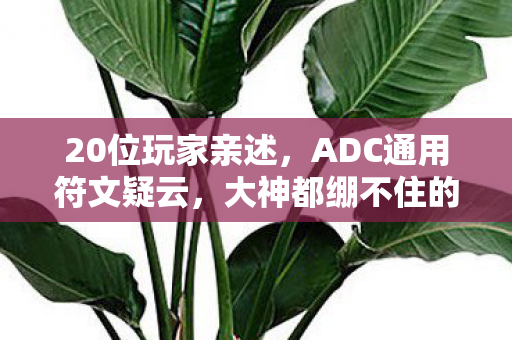 20位玩家亲述,ADC通用符文疑云,大神都绷不住的真相竟是…… 20位玩家亲述,ADC通用符文疑云,大神都绷不住的真相竟是……