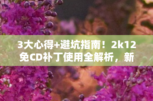 3大心得+避坑指南!2k12免CD补丁使用全解析,新手必看 3大心得+避坑指南!2k12免CD补丁使用全解析,新手必看