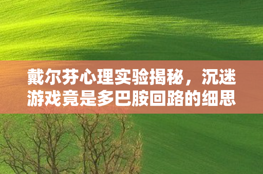 戴尔芬心理实验揭秘,沉迷游戏竟是多巴胺回路的细思极恐手术 戴尔芬心理实验揭秘,沉迷游戏竟是多巴胺回路的细思极恐手术