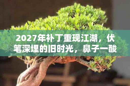2027年补丁重现江湖,伏笔深埋的旧时光,鼻子一酸谁懂啊! 2027年补丁重现江湖,伏笔深埋的旧时光,鼻子一酸谁懂啊!