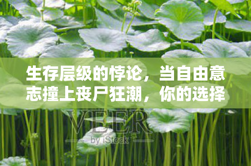 生存层级的悖论,当自由意志撞上丧尸狂潮,你的选择是灵魂震颤的宿命吗? 生存层级的悖论,当自由意志撞上丧尸狂潮,你的选择是灵魂震颤的宿命吗?