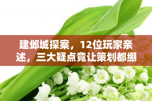 建邺城探案,12位玩家亲述,三大疑点竟让策划都绷不住了? 建邺城探案,12位玩家亲述,三大疑点竟让策划都绷不住了?