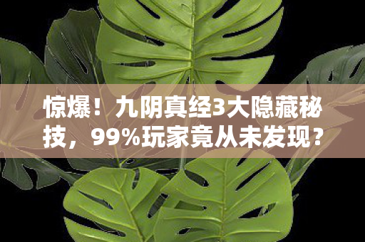 惊爆!九阴真经3大隐藏秘技,99%玩家竟从未发现? 惊爆!九阴真经3大隐藏秘技,99%玩家竟从未发现?