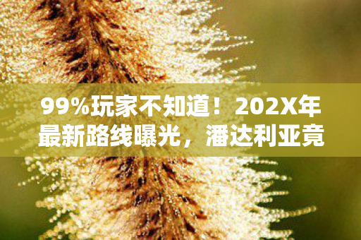 99%玩家不知道！202X年最新路线曝光，潘达利亚竟藏着惊天秘密？