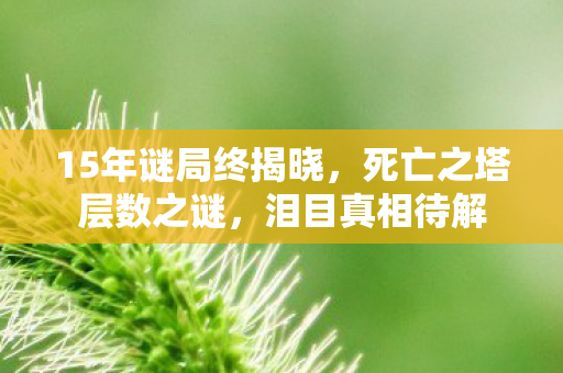 15年谜局终揭晓，死亡之塔层数之谜，泪目真相待解