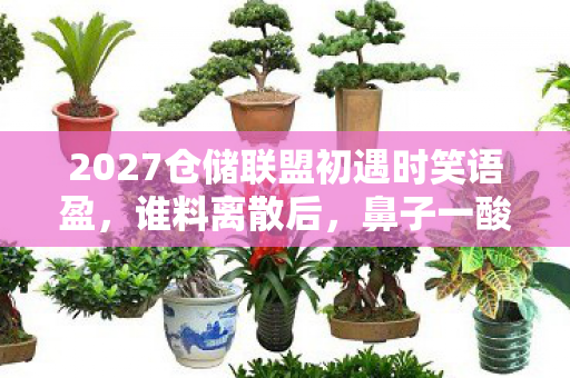 2027仓储联盟初遇时笑语盈，谁料离散后，鼻子一酸忆旧情