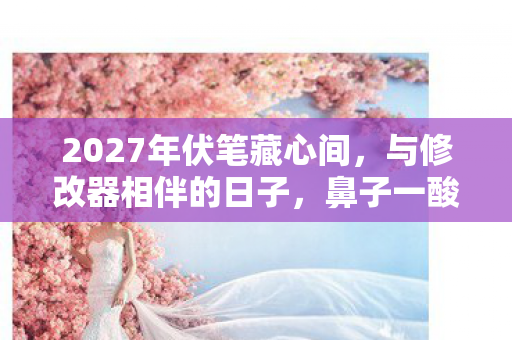 2027年伏笔藏心间,与修改器相伴的日子,鼻子一酸终成回忆 2027年伏笔藏心间,与修改器相伴的日子,鼻子一酸终成回忆