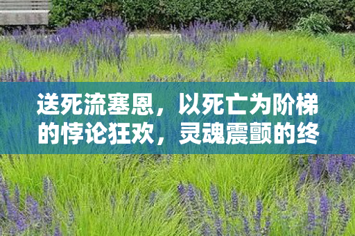 送死流塞恩,以死亡为阶梯的悖论狂欢,灵魂震颤的终极自由审判 送死流塞恩,以死亡为阶梯的悖论狂欢,灵魂震颤的终极自由审判