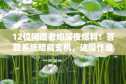 12位问道老炮深夜爆料!答题系统暗藏玄机,这操作谁能绷得住? 12位问道老炮深夜爆料!答题系统暗藏玄机,这操作谁能绷得住?