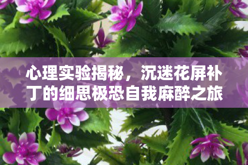 心理实验揭秘,沉迷花屏补丁的细思极恐自我麻醉之旅 心理实验揭秘,沉迷花屏补丁的细思极恐自我麻醉之旅