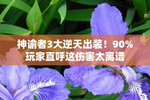 神谕者3大逆天出装!90%玩家直呼这伤害太离谱 神谕者3大逆天出装!90%玩家直呼这伤害太离谱
