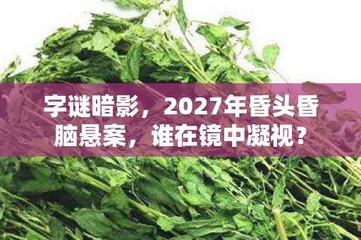 字谜暗影,2027年昏头昏脑悬案,谁在镜中凝视? 字谜暗影,2027年昏头昏脑悬案,谁在镜中凝视?