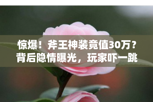 惊爆!斧王神装竟值30万?背后隐情曝光,玩家吓一跳! 惊爆!斧王神装竟值30万?背后隐情曝光,玩家吓一跳!