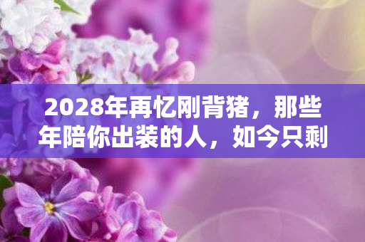 2028年再忆刚背猪,那些年陪你出装的人,如今只剩鼻子一酸的伏笔 2028年再忆刚背猪,那些年陪你出装的人,如今只剩鼻子一酸的伏笔