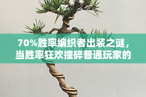 70%胜率编织者出装之谜,当胜率狂欢撞碎普通玩家的深夜 70%胜率编织者出装之谜,当胜率狂欢撞碎普通玩家的深夜