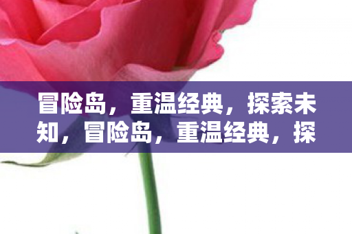 冒险岛,重温经典,探索未知,冒险岛,重温经典,探索未知之旅 冒险岛,重温经典,探索未知,冒险岛,重温经典,探索未知之旅