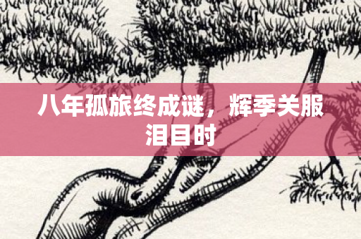 八年孤旅终成谜,辉季关服泪目时 八年孤旅终成谜,辉季关服泪目时