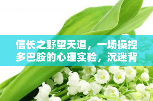 信长之野望天道，一场操控多巴胺的心理实验，沉迷背后细思极恐