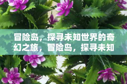 冒险岛,探寻未知世界的奇幻之旅,冒险岛,探寻未知世界的奇幻之旅 冒险岛,探寻未知世界的奇幻之旅,冒险岛,探寻未知世界的奇幻之旅