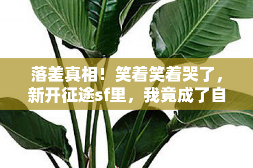 落差真相!笑着笑着哭了,新开征途sf里,我竟成了自己的骗子 落差真相!笑着笑着哭了,新开征途sf里,我竟成了自己的骗子