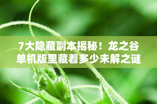 7大隐藏副本揭秘!龙之谷单机版里藏着多少未解之谜? 7大隐藏副本揭秘!龙之谷单机版里藏着多少未解之谜?
