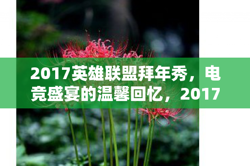 2017英雄联盟拜年秀，电竞盛宴的温馨回忆，2017英雄联盟拜年秀，电竞盛宴的温馨回忆