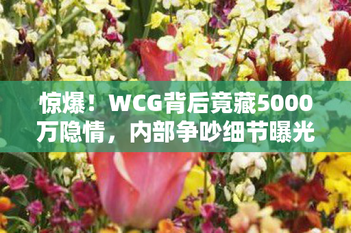 惊爆！WCG背后竟藏5000万隐情，内部争吵细节曝光，吓一跳！