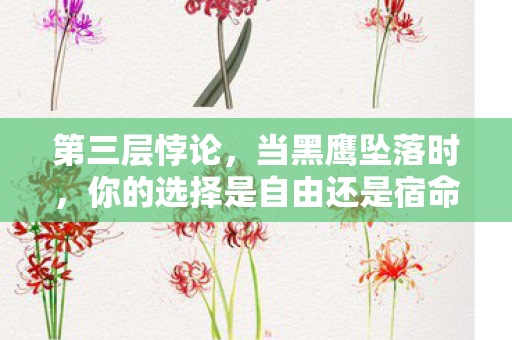 第三层悖论,当黑鹰坠落时,你的选择是自由还是宿命轮回? 第三层悖论,当黑鹰坠落时,你的选择是自由还是宿命轮回?