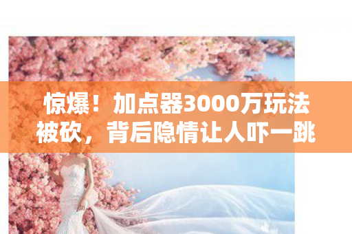 惊爆！加点器3000万玩法被砍，背后隐情让人吓一跳！