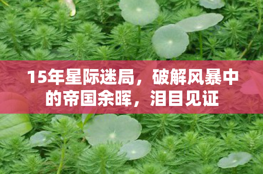 15年星际迷局,破解风暴中的帝国余晖,泪目见证 15年星际迷局,破解风暴中的帝国余晖,泪目见证