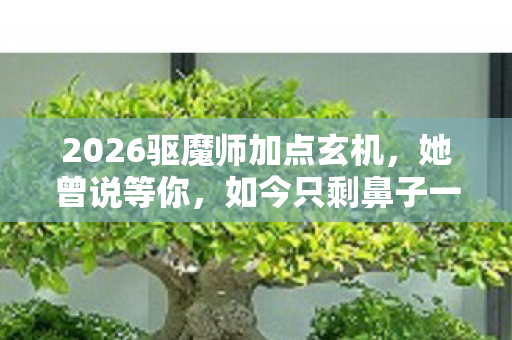 2026驱魔师加点玄机,她曾说等你,如今只剩鼻子一酸 2026驱魔师加点玄机,她曾说等你,如今只剩鼻子一酸
