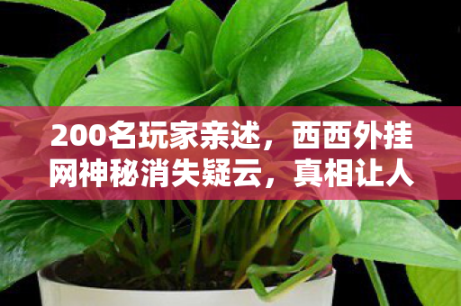 200名玩家亲述，西西外挂网神秘消失疑云，真相让人绷不住！