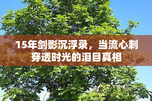 15年剑影沉浮录,当流心刺穿透时光的泪目真相 15年剑影沉浮录,当流心刺穿透时光的泪目真相