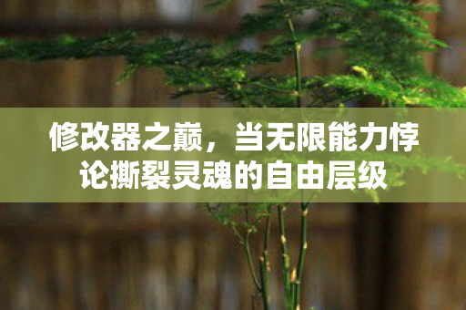 修改器之巅,当无限能力悖论撕裂灵魂的自由层级 修改器之巅,当无限能力悖论撕裂灵魂的自由层级