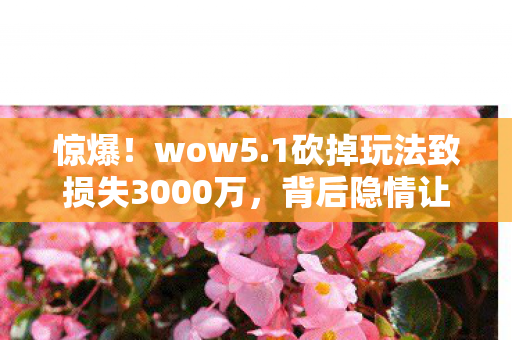 惊爆!wow5.1砍掉玩法致损失3000万,背后隐情让人吓一跳! 惊爆!wow5.1砍掉玩法致损失3000万,背后隐情让人吓一跳!