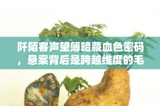 阡陌客声望簿暗藏血色密码,悬案背后是跨越维度的毛骨悚然真相 阡陌客声望簿暗藏血色密码,悬案背后是跨越维度的毛骨悚然真相