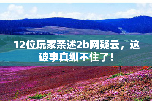 12位玩家亲述2b网疑云,这破事真绷不住了! 12位玩家亲述2b网疑云,这破事真绷不住了!