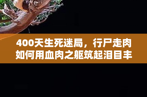 400天生死迷局,行尸走肉如何用血肉之躯筑起泪目丰碑 400天生死迷局,行尸走肉如何用血肉之躯筑起泪目丰碑