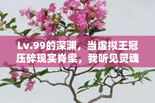 Lv.99的深渊,当虚拟王冠压碎现实脊梁,我听见灵魂在像素里碎裂成星 Lv.99的深渊,当虚拟王冠压碎现实脊梁,我听见灵魂在像素里碎裂成星