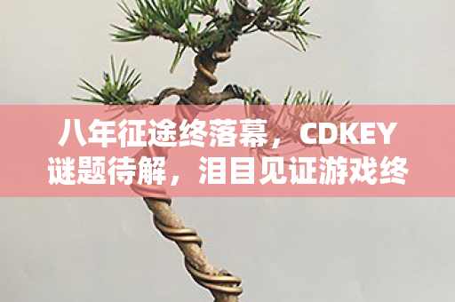 八年征途终落幕,CDKEY谜题待解,泪目见证游戏终章 八年征途终落幕,CDKEY谜题待解,泪目见证游戏终章