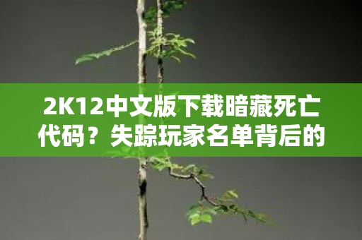 2K12中文版下载暗藏死亡代码?失踪玩家名单背后的毛骨悚然悬案 2K12中文版下载暗藏死亡代码?失踪玩家名单背后的毛骨悚然悬案