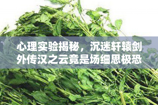 心理实验揭秘,沉迷轩辕剑外传汉之云竟是场细思极恐的脑手术 心理实验揭秘,沉迷轩辕剑外传汉之云竟是场细思极恐的脑手术
