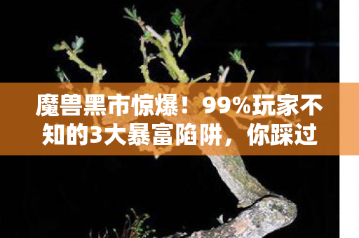 魔兽黑市惊爆!99%玩家不知的3大暴富陷阱,你踩过几个? 魔兽黑市惊爆!99%玩家不知的3大暴富陷阱,你踩过几个?