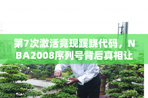 第7次激活竟现蹊跷代码，NBA2008序列号背后真相让人后背发凉